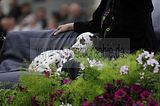 altenburg-trachtenfest-03-06-2012 (314)
